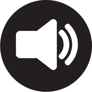 Record audio for alarm sound. Talk two way voice intercom